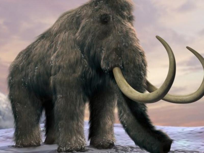 _90605265_c0205129-woolly_mammoth_artwork-spl.jpg