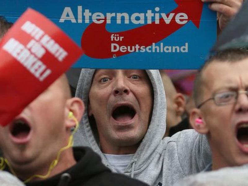 afd.jpg