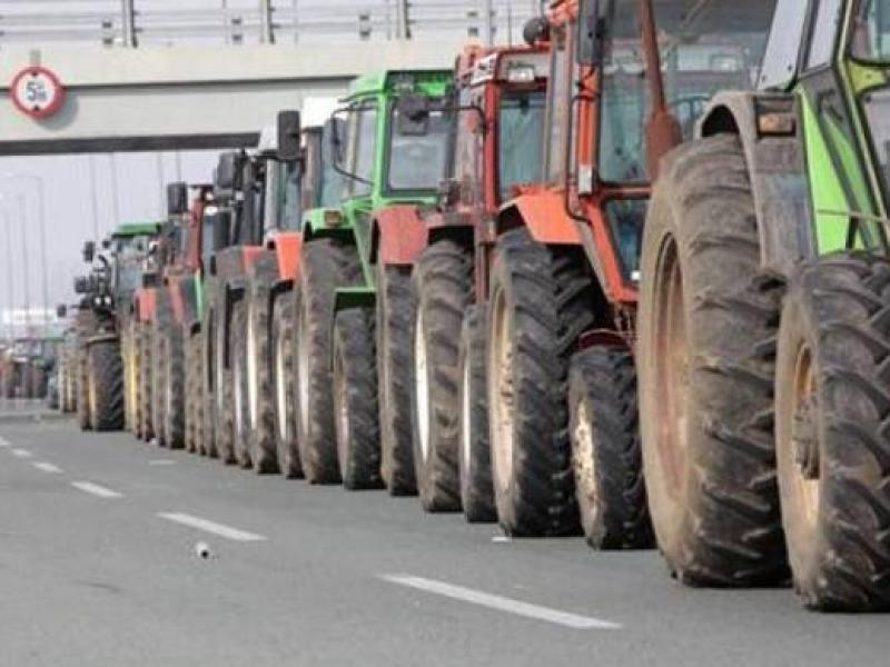 agrotes-mploka.jpg