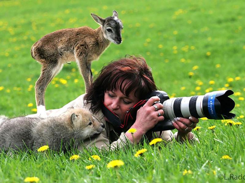 animals-with-camera-helping-photographers-7_880.jpg