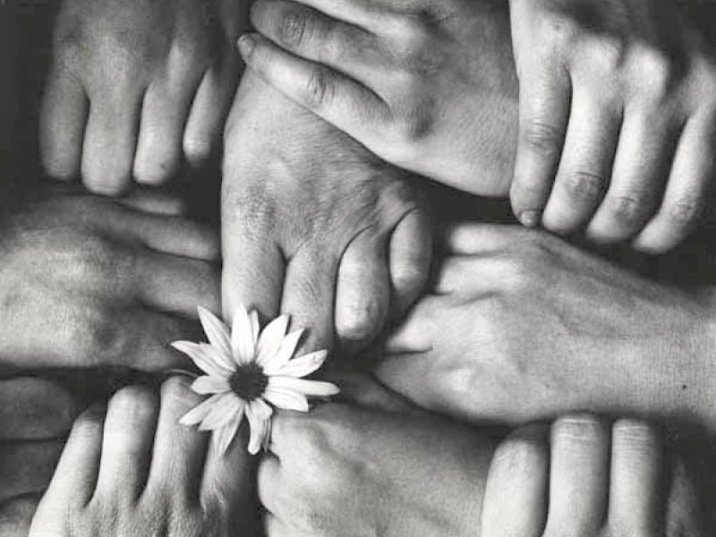 antigrafo_apo_hands_and_flowers_france_1972_foto_michel_joly.jpg