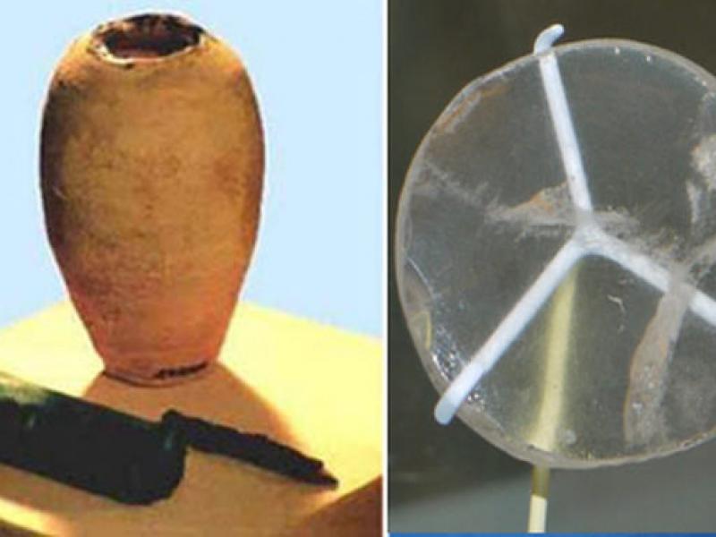 baghdad-battery-nimrud-lens.jpg