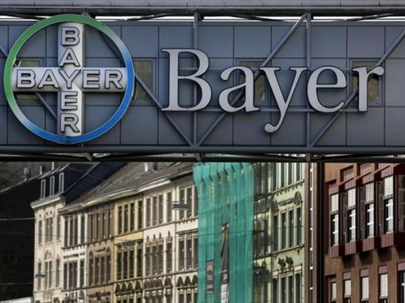 bayer2.jpg
