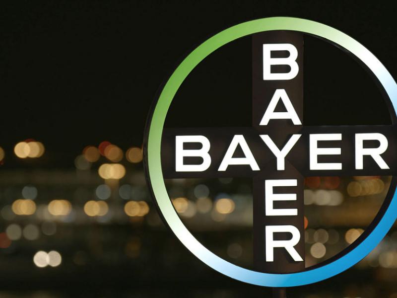 bayer_1.jpg
