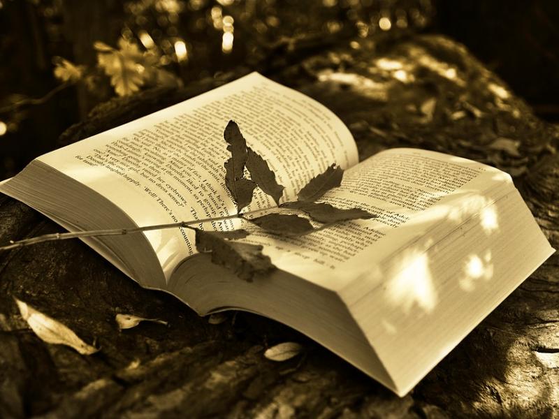 book-2855857_960_720_0.jpg