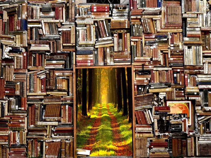 books-2885315_960_720.jpg
