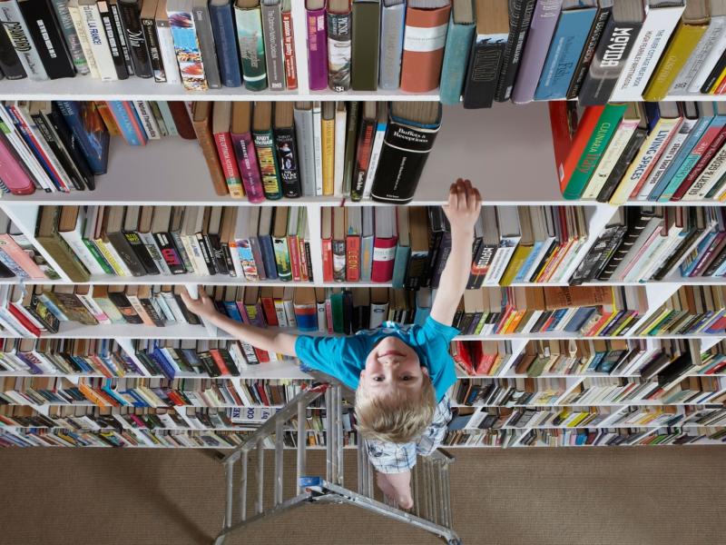 books_child_ladder_6.jpeg