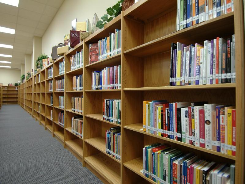brilliant-ideas-of-library-bookshelf-on-school-library-bookshelves-bookshelf-awesome-book-shelves-on-1-of-library-bookshelf.jpg