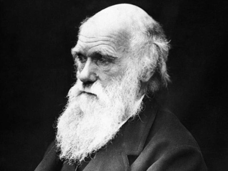 charles_darwin.jpg
