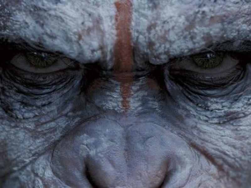 dawn-planet-apes-trailer-570x294.jpg