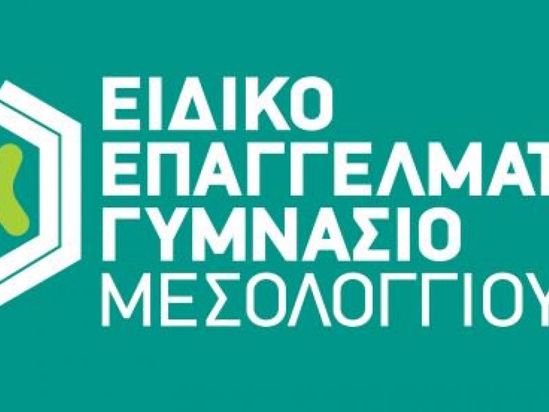 eidiko_epaggelmatiko_gymnasio_mesologgioy.jpg