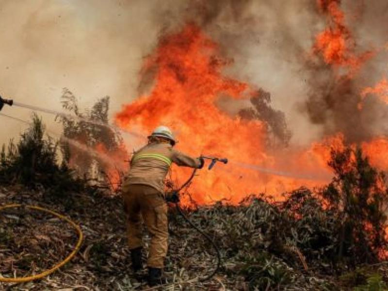 epa-portugal-fires-8-jt-170618_12x5_1600.jpg