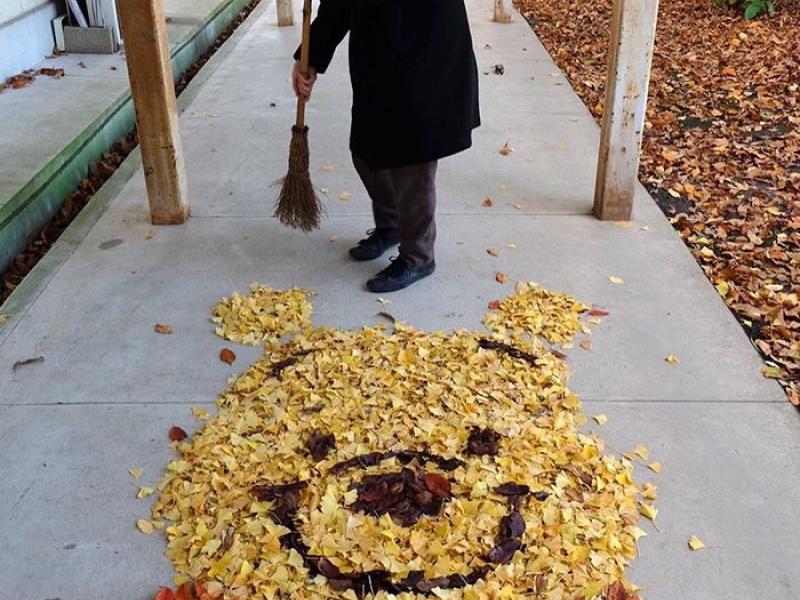 fallen-leaf-art-japan-3-585117c3cdcfa_700.jpg