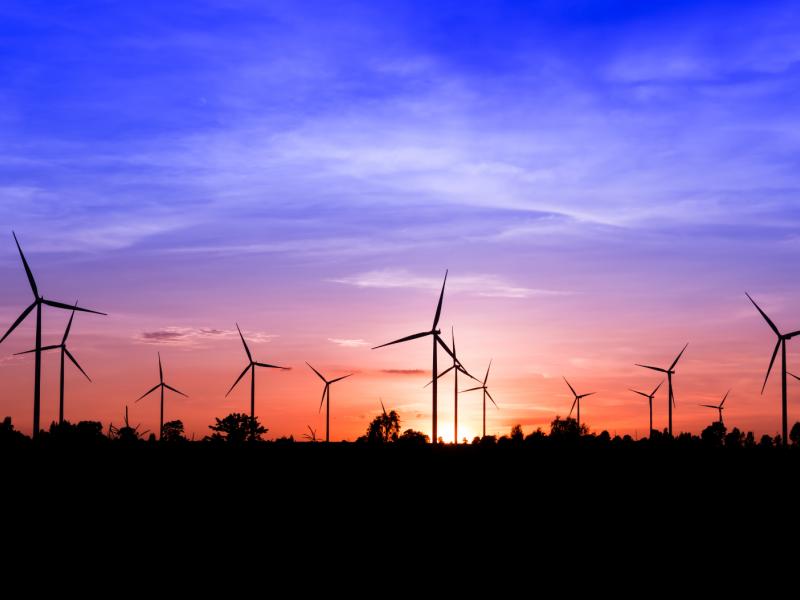 field-of-wind-turbines.jpg