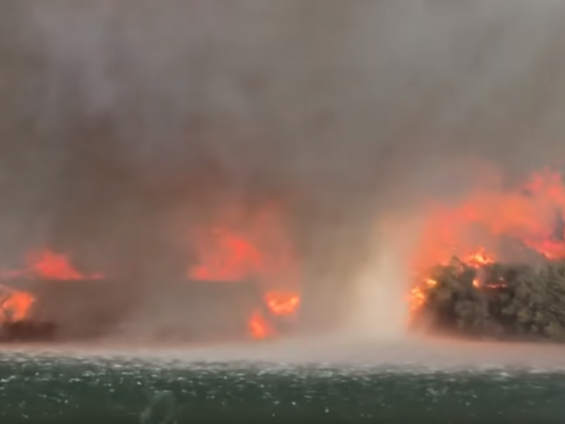 firenado.png