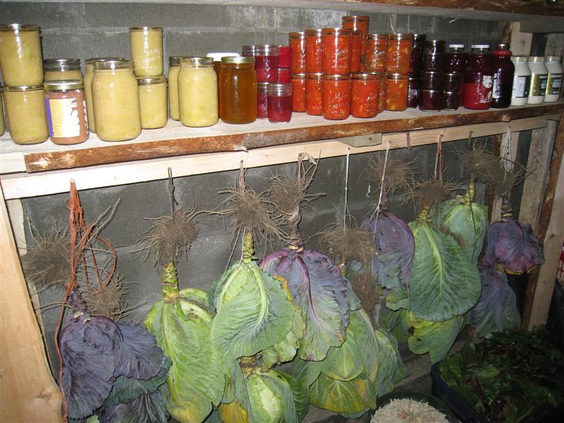 food-put-up-in-root-cellar.jpg