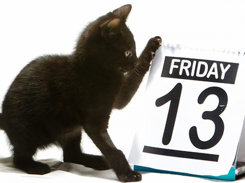 friday-13.png