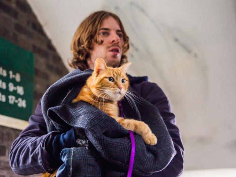 gallery-1472746745-a-street-cat-named-bob-luke-treadaway.jpg