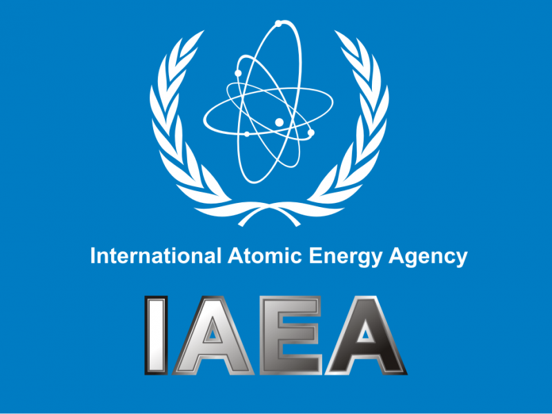 iaea.png