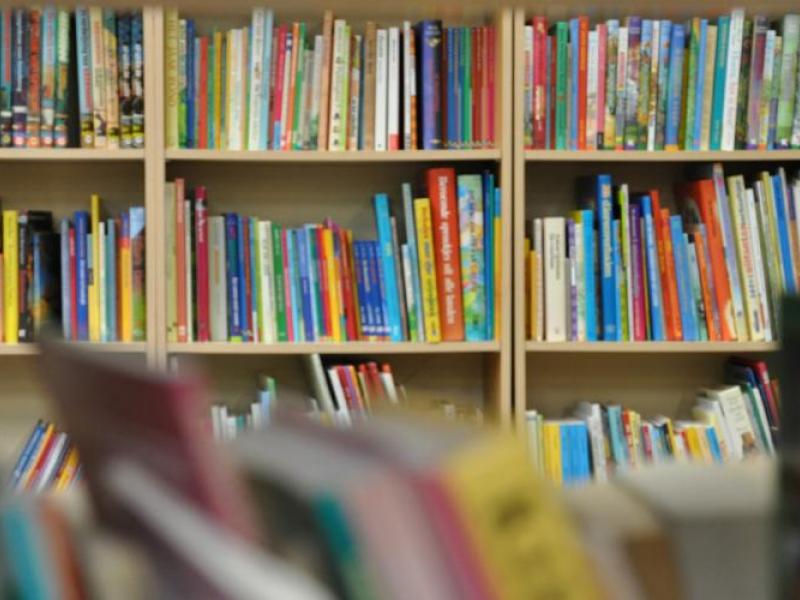 βιβλιοθηκονομοι