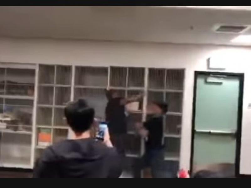 Άγριο ξύλο σε σχολείο των ΗΠΑ