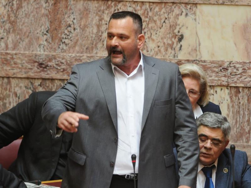 λαγος χρυση αυγη