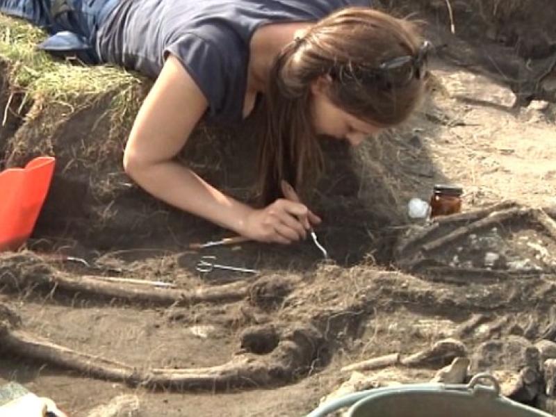 αρχαιολογοι