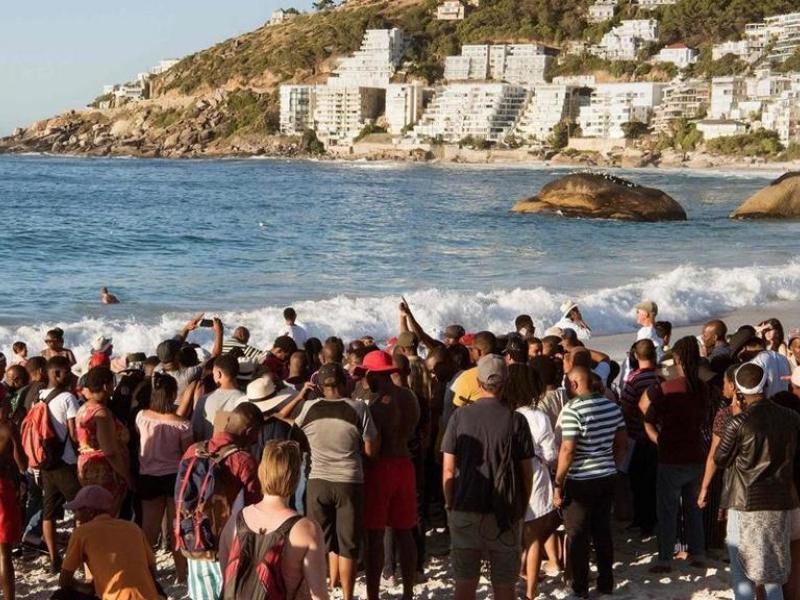 aparheint south africa