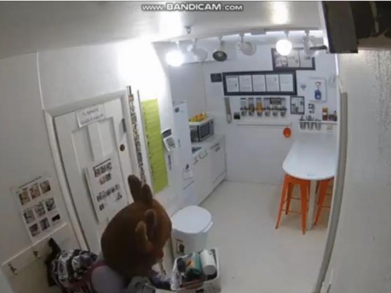 Έκανε ληστεία ντυμένη τάρανδος