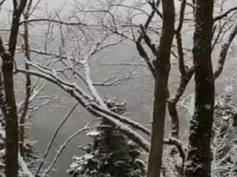 Χιόνι στην Πάρνηθα