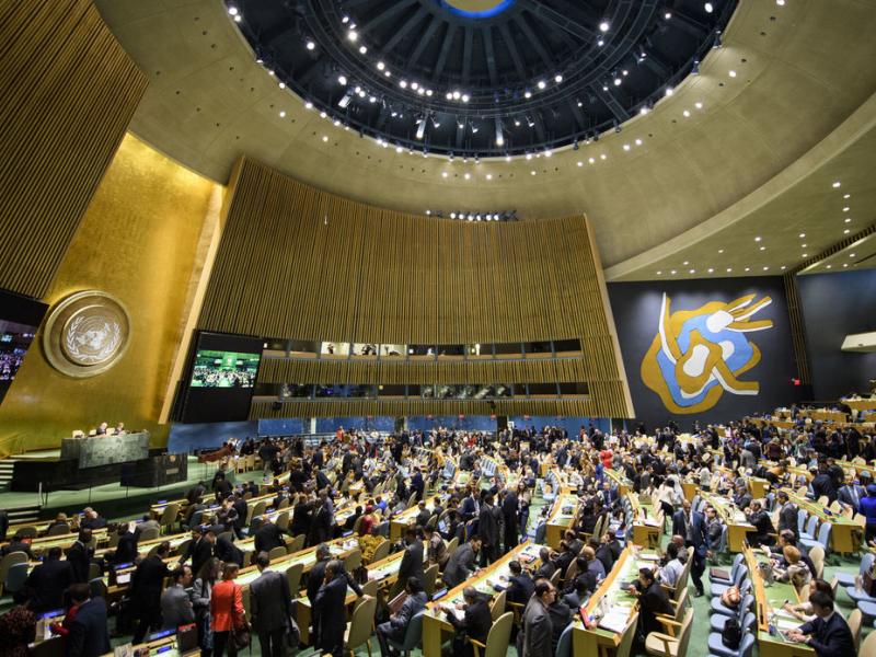 UN general assembly