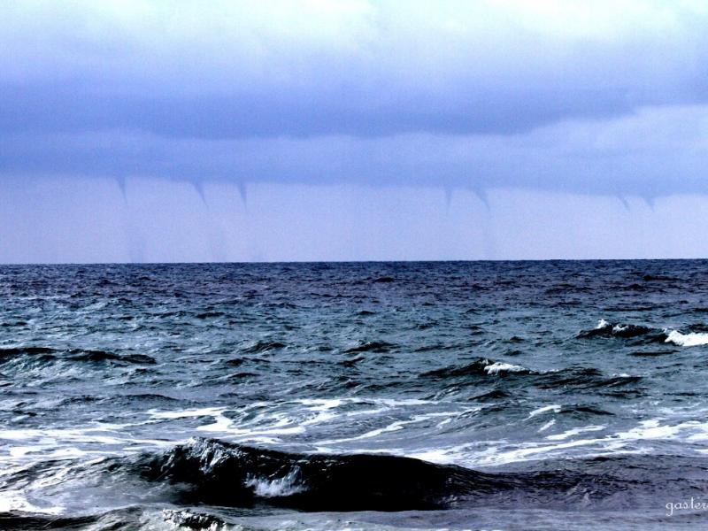 οικογενεια υδροσιφωνων