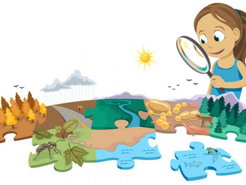 Επιστήμες του Περιβάλλοντος και Εκπαίδευση για την Αειφορία