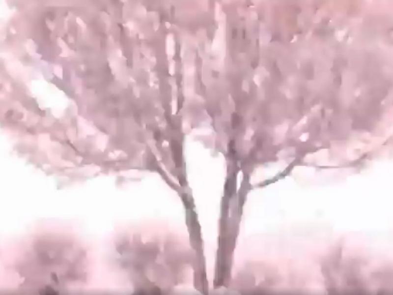 χιονι καταιγιδα