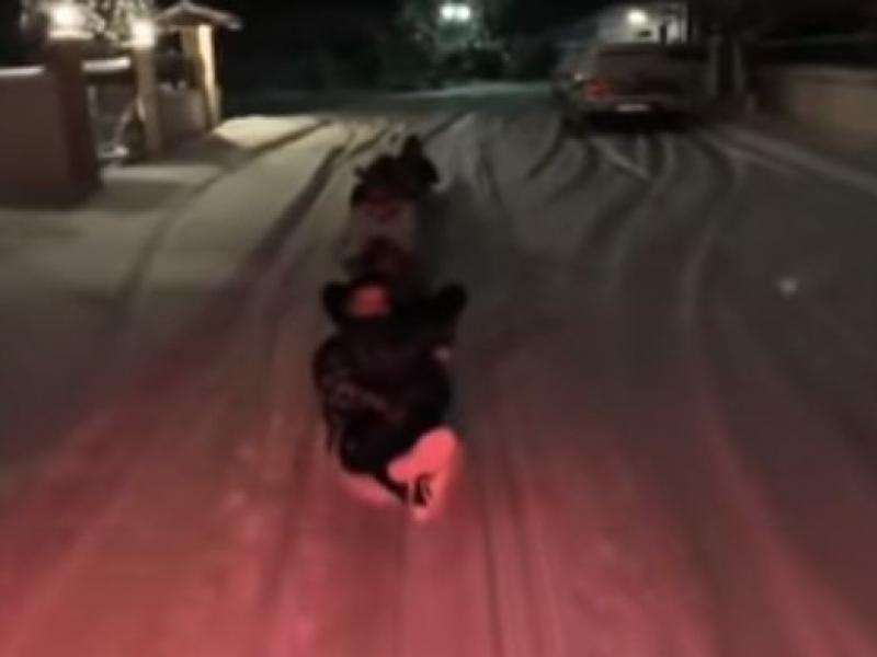 Αυτοσχέδιο έλκηθρο στην Κοζάνη