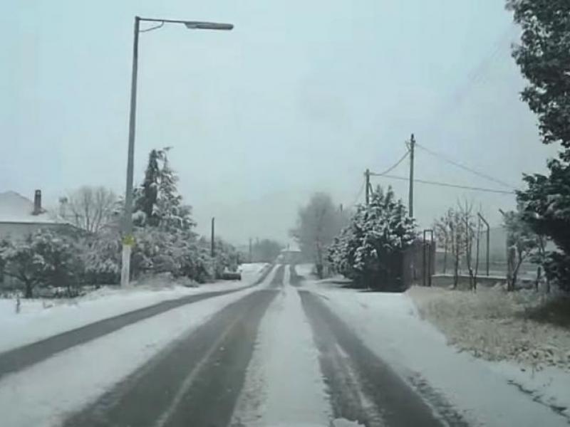 χιονι σιντικη