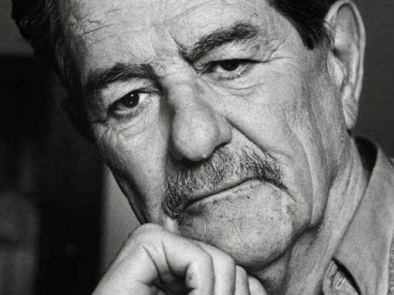 Κώστας Αξελός