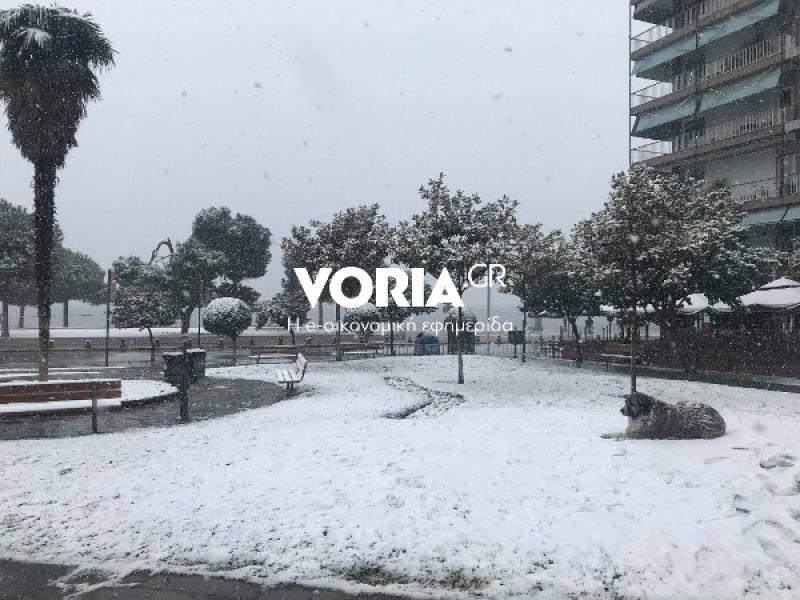 χιόνι Θεσσαλονίκη