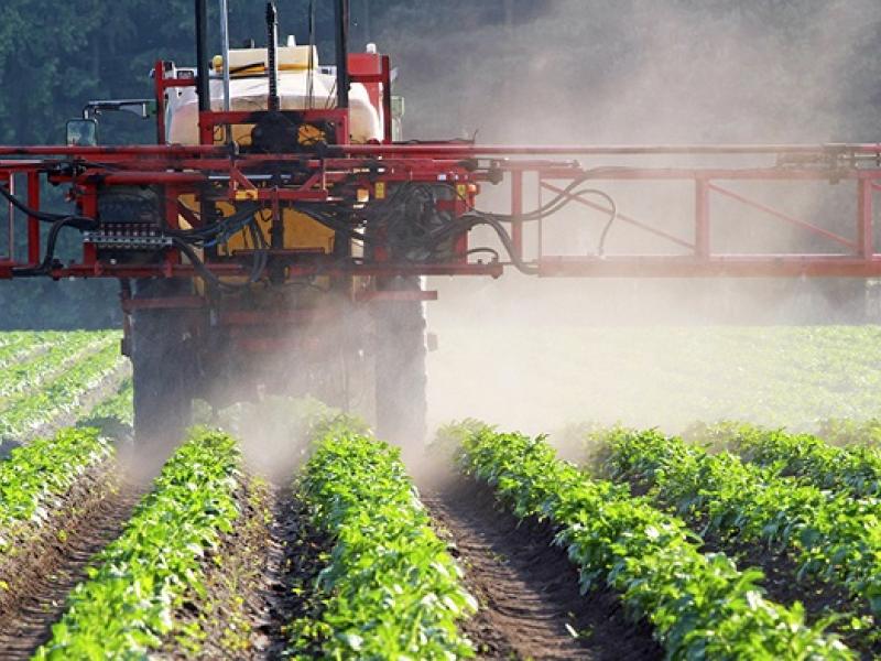 fumigacion-agrotoxicos.jpg