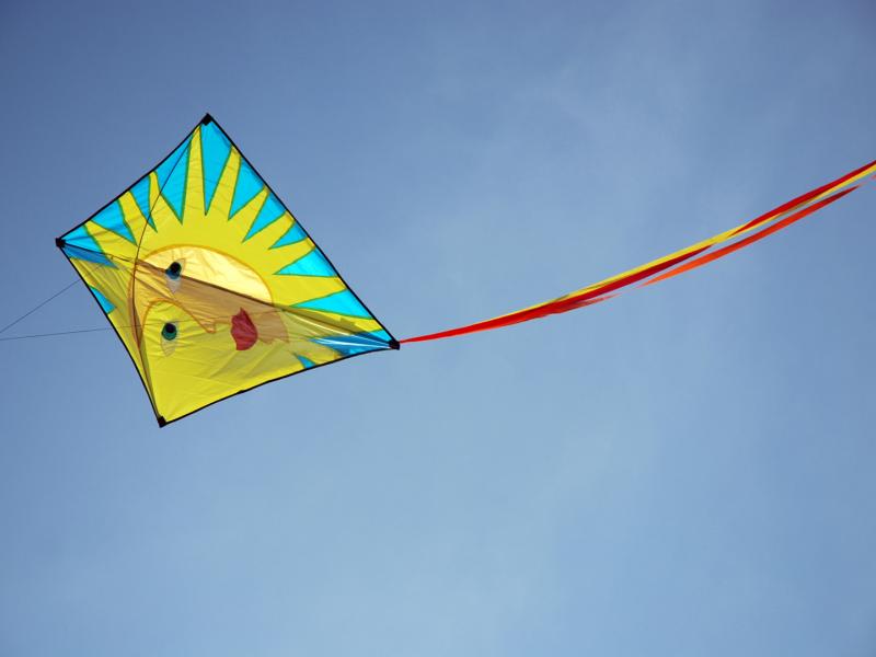 kite_1132019_746.jpg