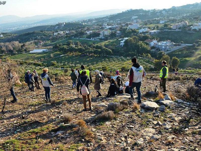 Δενδροφύτευση στο Πεντελικό