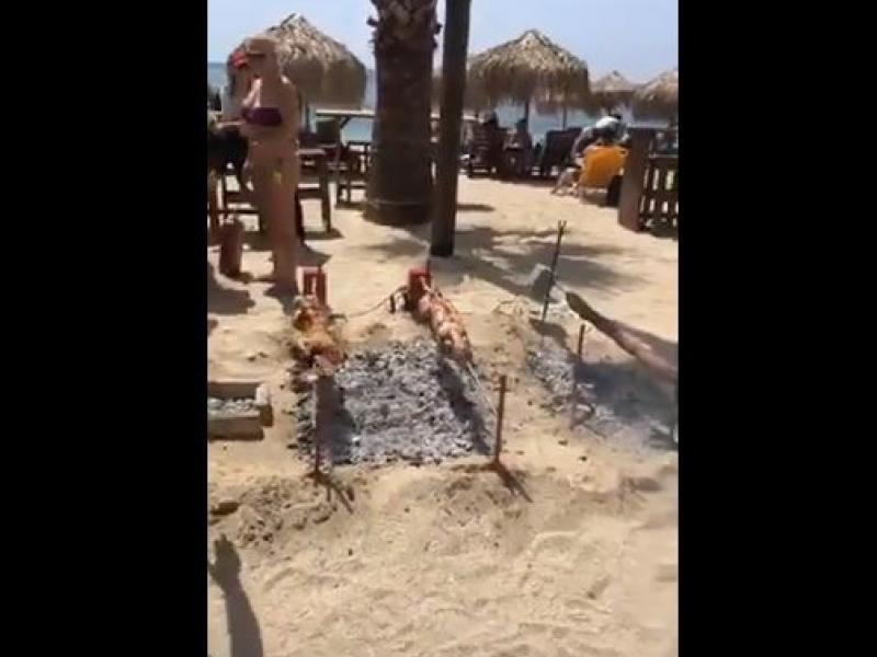 βιντεο αρνι