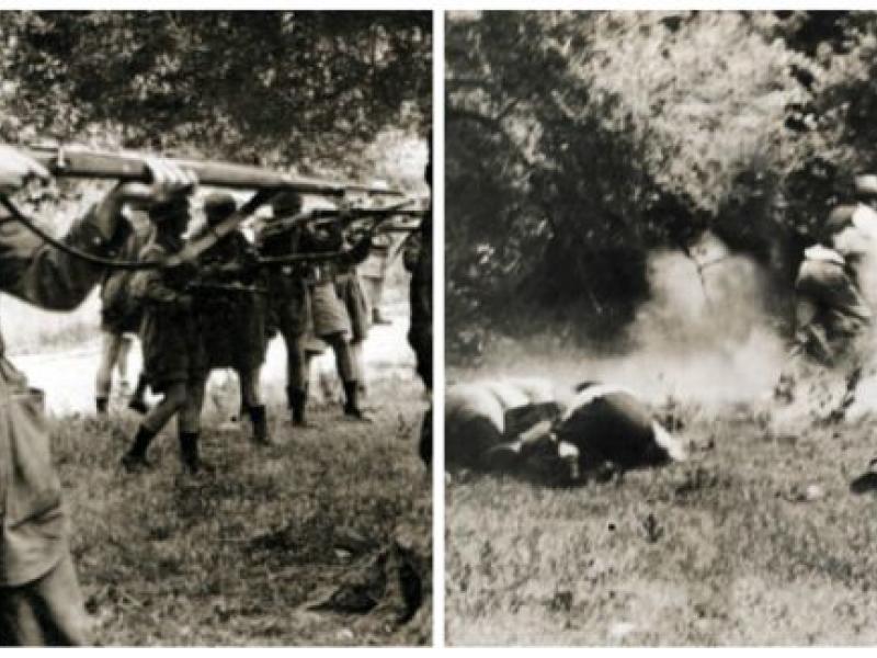 Σφαγή στο Κοντομαρί