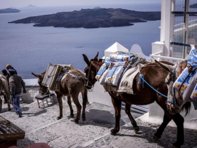 santorini_gaidoyrakia_342019.jpg