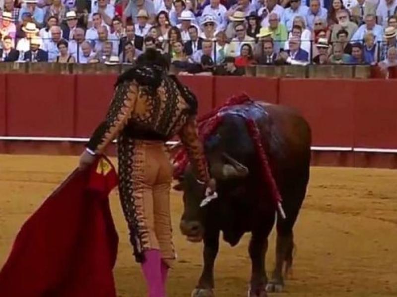 Ταυρομάχος στην Ισπανία