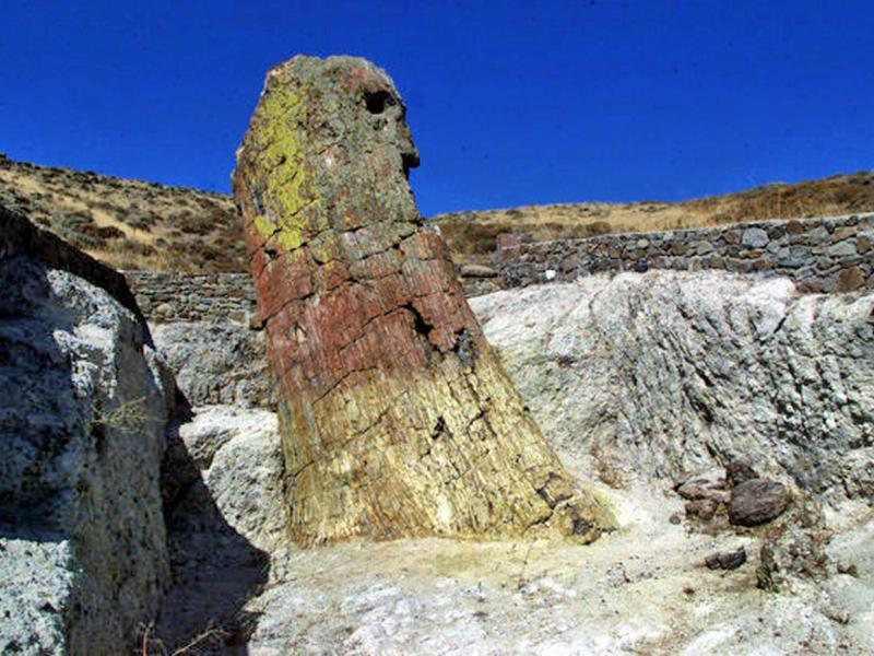 ΑΠΟΛΙΘΩΜΕΝΟ ΔΑΣΟς ΛΕΣΒΟς