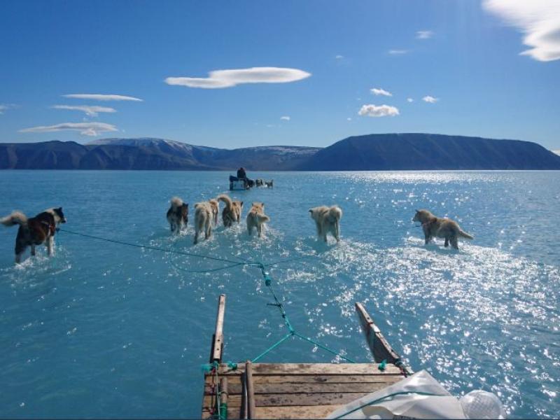 παγοι γροιλανδια