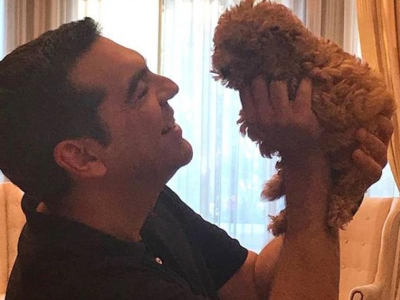 Τσίπρας κουτάβι