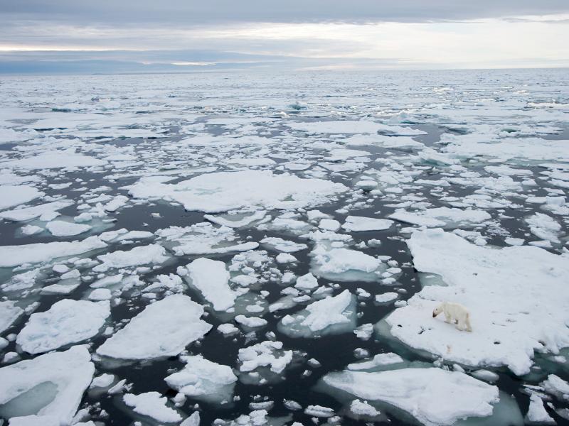 21 celsius north pole