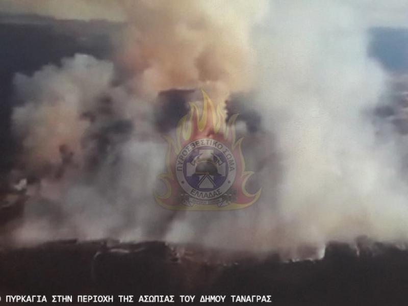 φωτιά Ασωπία